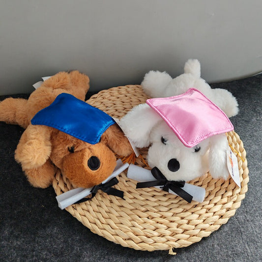 Soft and cute Dr. Dun dog doll plush toy Dr. hat puppy doll confession wishing Valentine's Day