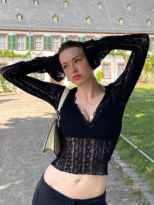 Sexy lace mesh see-through V-neck long-sleeved top 2026 autumn new hot girl slim slim short T-shirt trend